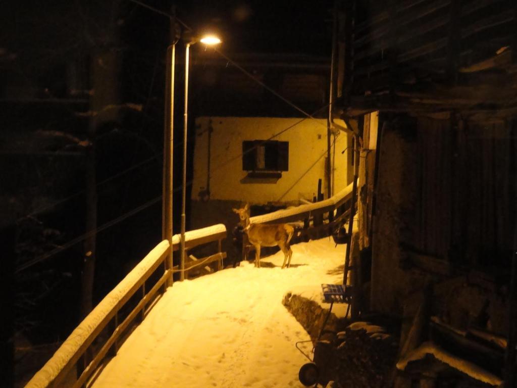 B&B Mas Di Zonadi ราบบิ ภายนอก รูปภาพ